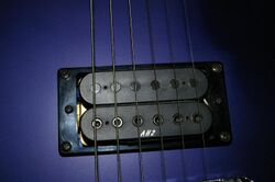 Guitare double micro.jpg