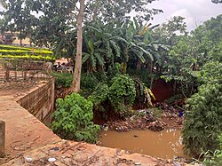 A picture of gully erosion at University of Nigeria Secondary School, Nsukka, Nigeria, South East.