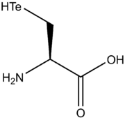 L-tellurocysteine-2D-skeletal.png