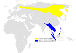 Locustella lanceolata distribution map.png