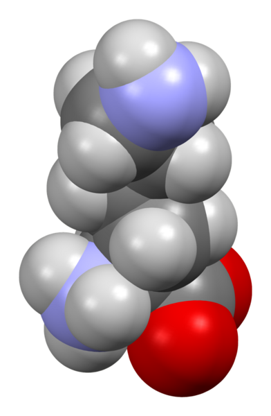 File:Lysine-from-xtal-3D-sf.png