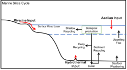 Marine Silica Cycle.png