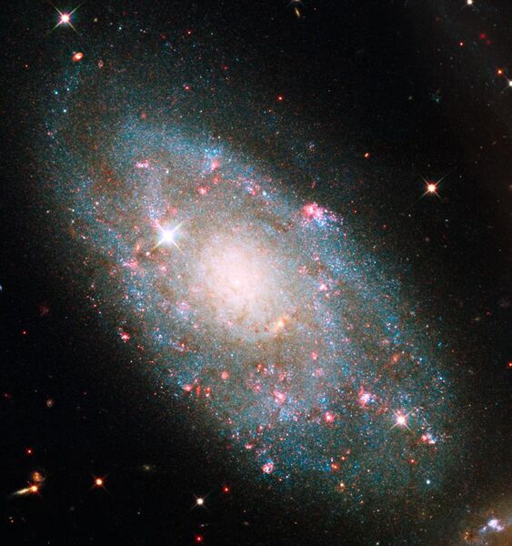 File:NGC 7320.jpg