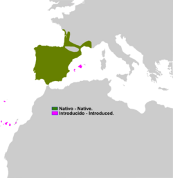 Pelophylax perezi range Map.png