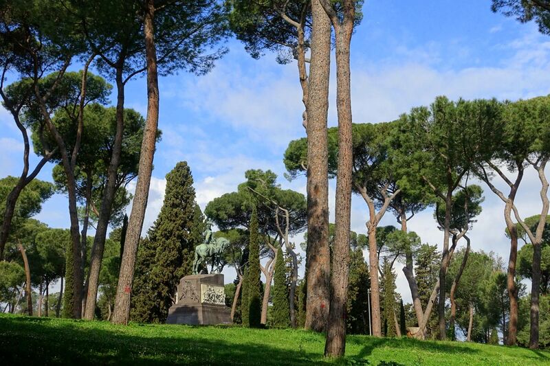 File:Pines - Villa Borghese - Rome, Italy - DSC04555.jpg