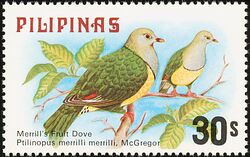 Ptilinopus merrilli 1979 stamp of the Philippines.jpg