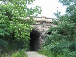 Schenley Park Trail.jpg