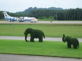 Trat Airport in Thailand.jpg