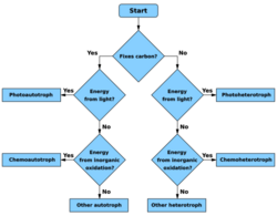 Troph flowchart.svg