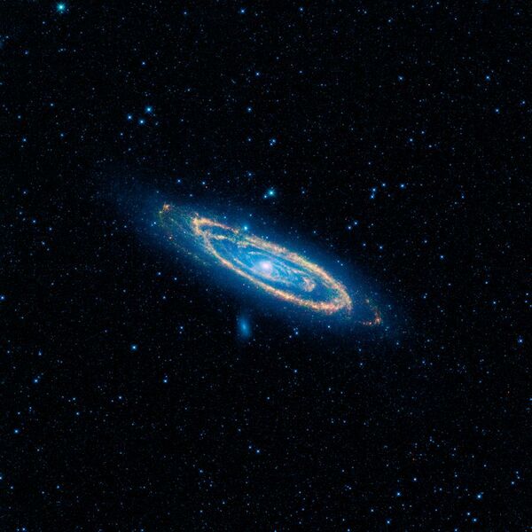 File:WISE- Andromeda.jpg