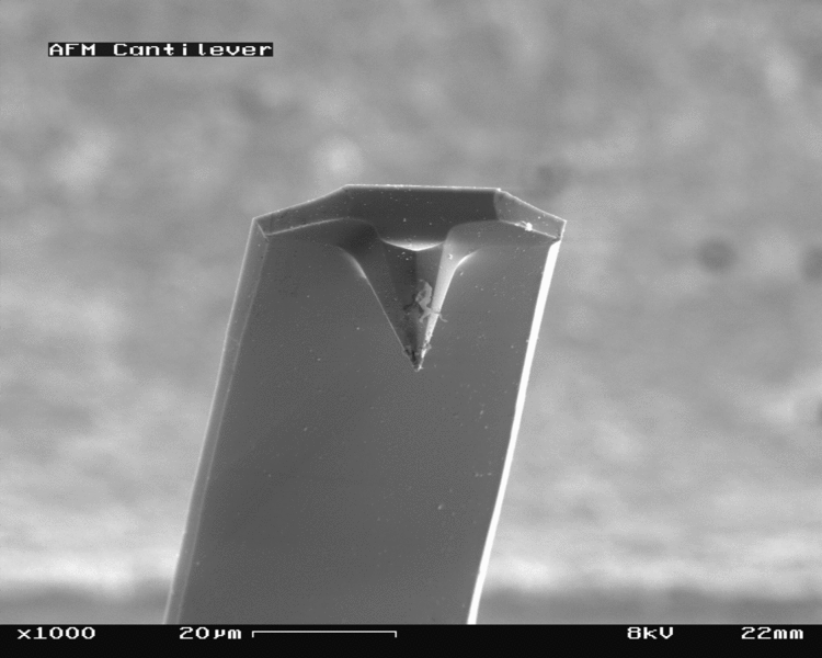 File:AFM (used) cantilever in Scanning Electron Microscope, magnification 1000x.GIF