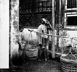 A Peking costermonger selling fruit Wellcome L0018863.jpg