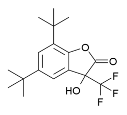 BHFF structure.png