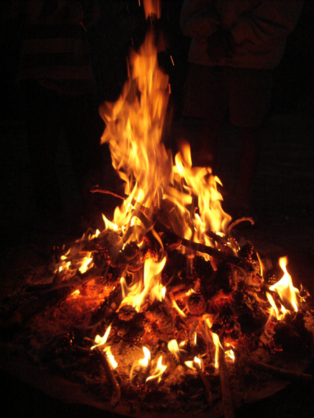 File:Campfire Pinecone.png