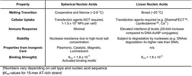Properties of Spherical Nucleic Acids versus Linear Nucleic Acids alt text