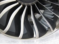 Fan blades and inlet guide vanes of GEnx-2B.jpg
