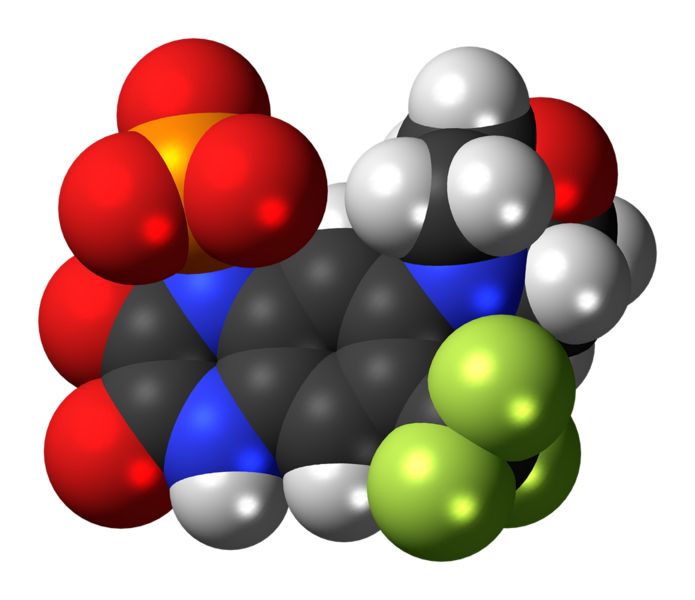 File:Fanapanel anion spacefill.png