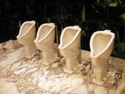 Female urinals.jpg