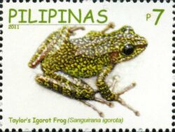 Hylarana igorota 2011 stamp of the Philippines.jpg
