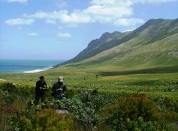 Kogelberg Biosphere Reserve - city of Cape Town.JPG