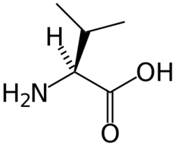 L-valine-skeletal.svg