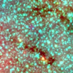 NASA-WISE-VVV-WIT-07-ScrnImg-20190608.jpg