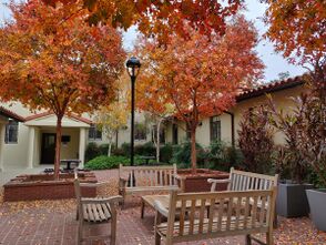 Benches and trees with red autumn foliage in a courtyard