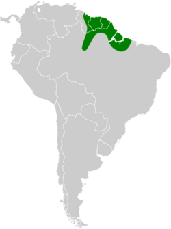 Phylloscartes virescens map.svg