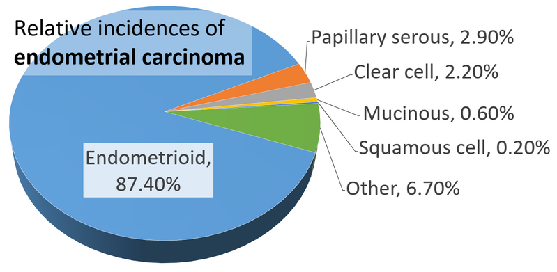 File:Pie chart of relative incidences of endometrial carcinoma.png