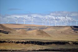 Shepherds Flat Wind Farm 2011.jpg