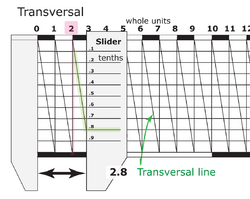 Transversal Use.png