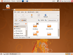 Ubuntu-desktop-2-804-20080708.png