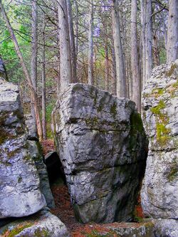Warsaw Caves, Ontario.jpg