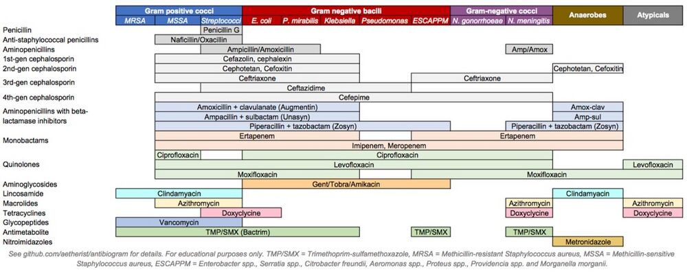 Antibiotics coverage diagram