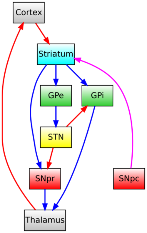 Chemistry:Nigrostriatal pathway - HandWiki