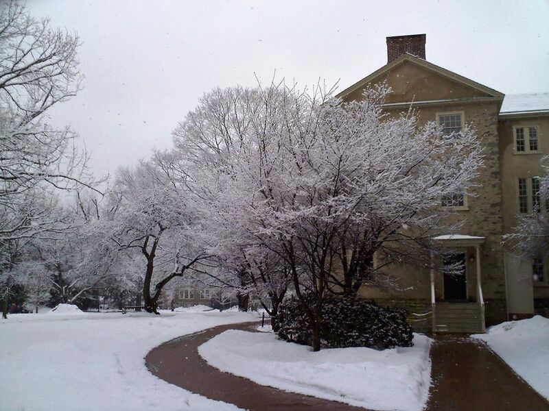 File:Cherry Trees around Haverford College Founders Hall.jpg