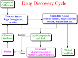 Drug discovery cycle.svg