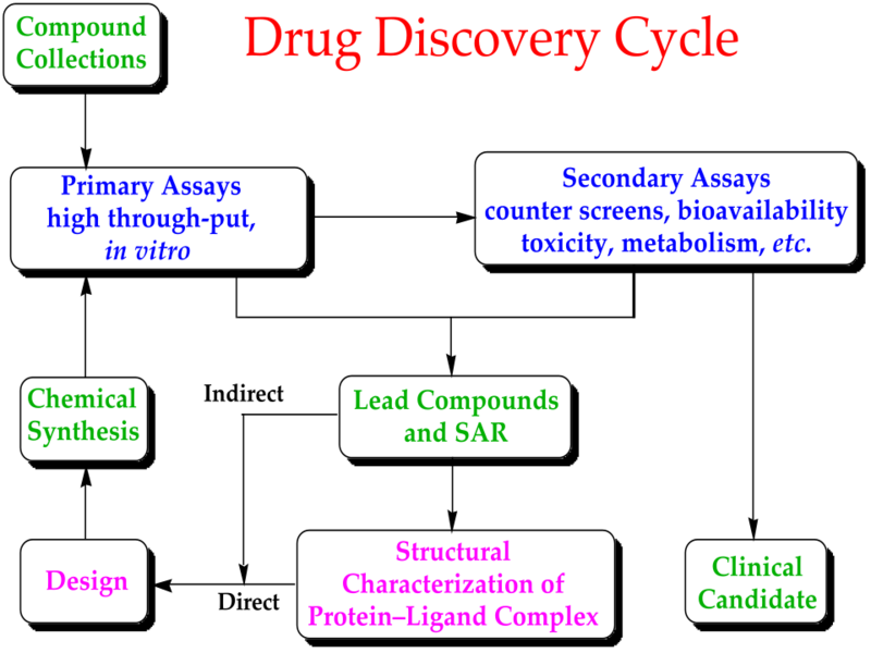 File:Drug discovery cycle.svg