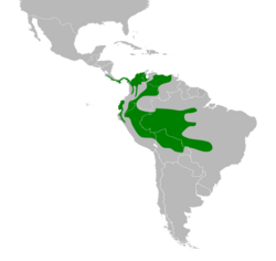 Euphonia laniirostris map.svg