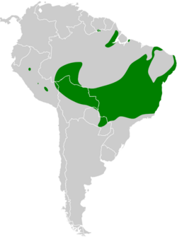 Formicivora rufa map.svg