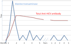 Hepatitis C serology.png