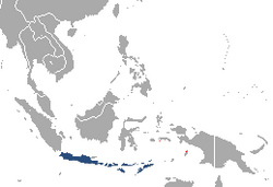 Javanese Shrew area.png