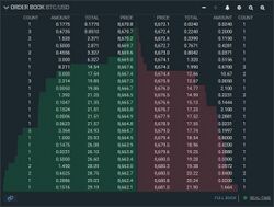 This shows the size of buy and sell limit order at each price point. Known as order book or DOM