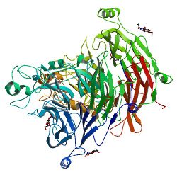 PBB Protein SEMA3A image.jpg