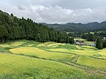 Rice Field Terrace, Kitaimogawa, Sanjō, Niigata, Japan, September 2022.jpg