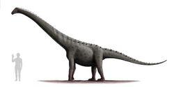 Rinconsaurus test 2.jpg