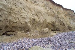 The eroding cliffs of Reculver Country Park - geograph.org.uk - 6930.jpg