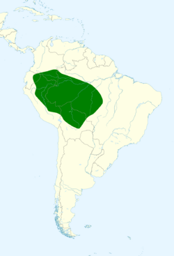 Turdus hauxwelli map.svg