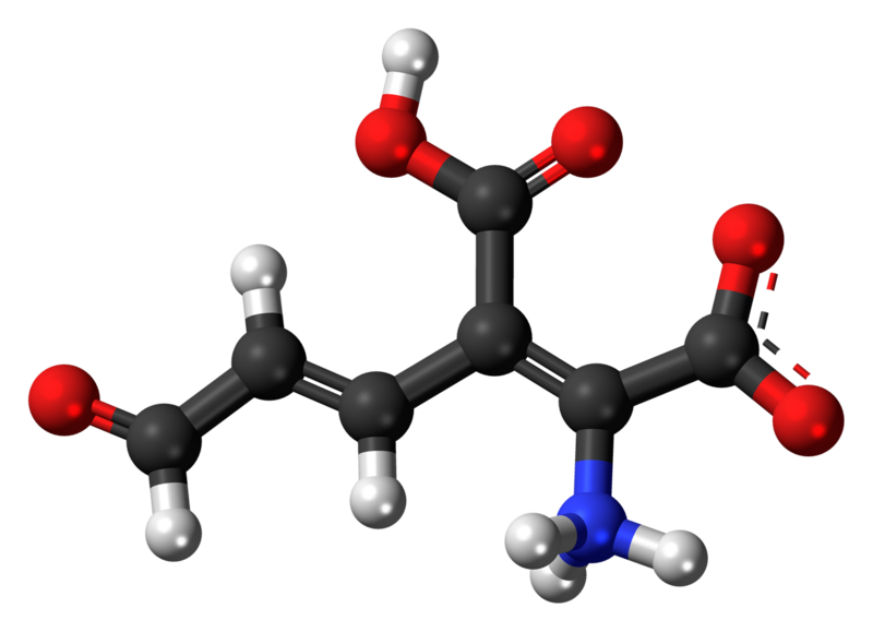 File:2-Amino-3-carboxymuconic-semialdehyde-zwitterion-3D-balls.png
