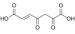 3-Fumarylpyruvic acid.svg